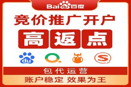 行业领先SEM托管代运营案例